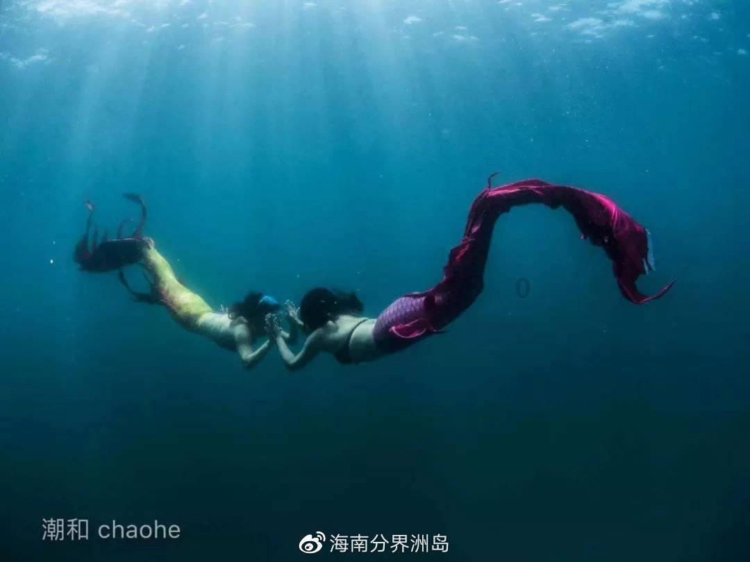 公告牌音乐奖
